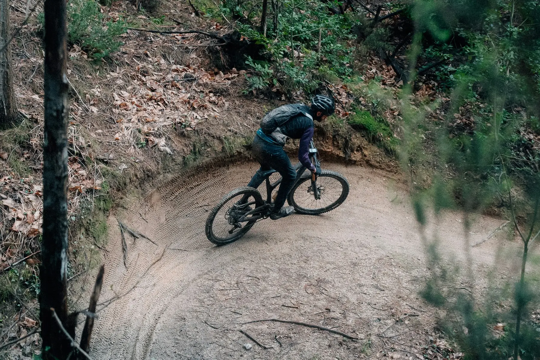 Poglądowe zdjęcie singletracka MTB w lesie